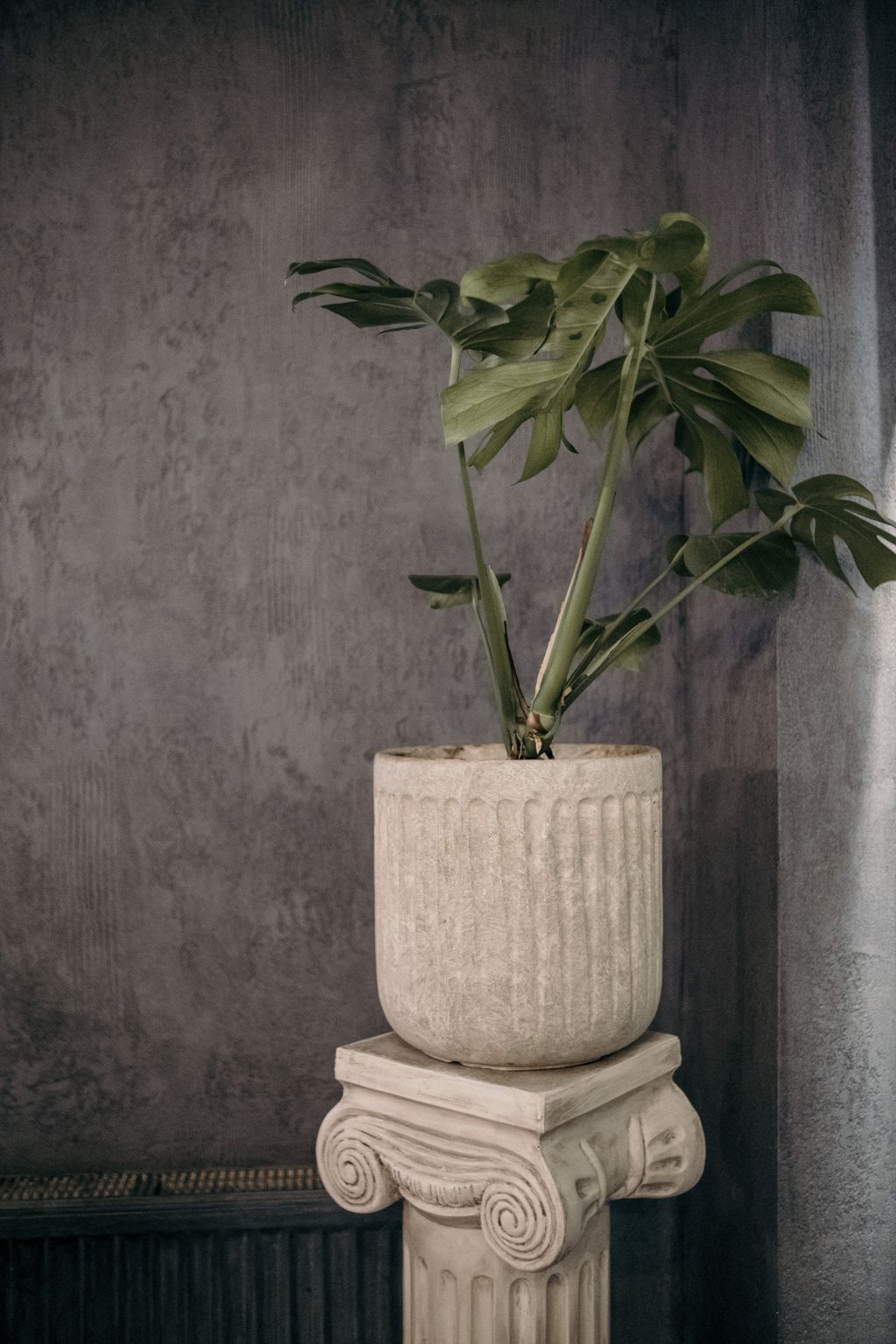 Dunkelgraue Wand mit edler Spachteltechnik und Struktur, davor eine antike Säule mit Monstera-Pflanze im Keramiktopf.