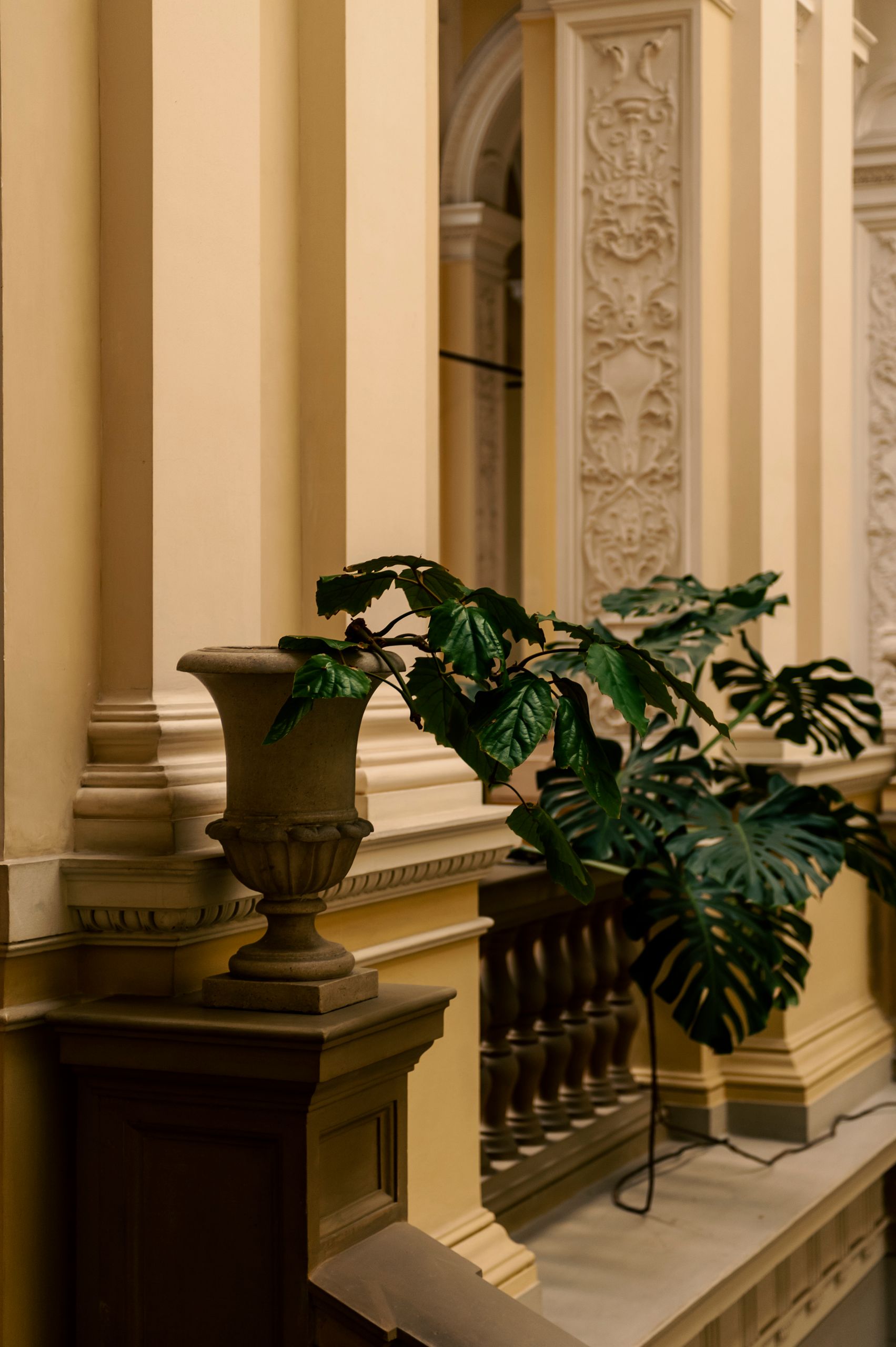Detailaufnahme historischer Architektur mit gelben Säulen, edler Stuckverzierung, einer Steinvase und grünen Zimmerpflanzen.